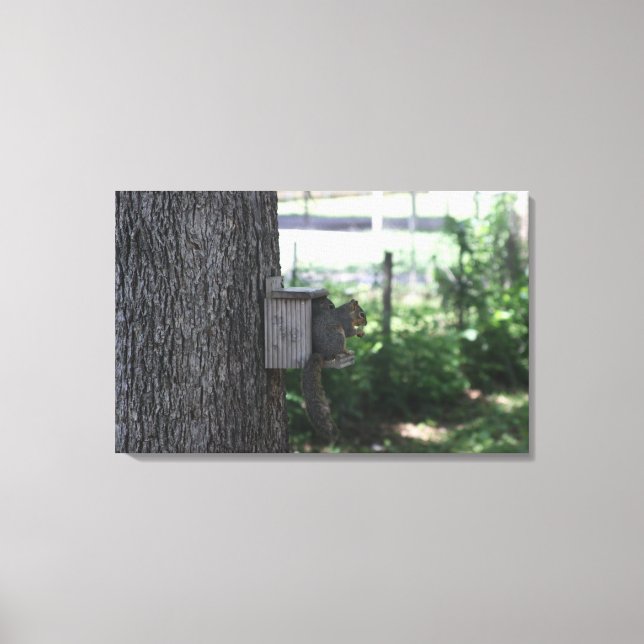 Impresión de canvas de ardillas (Anverso)