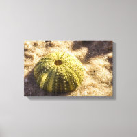 Impresión de canvas de arena húmeda