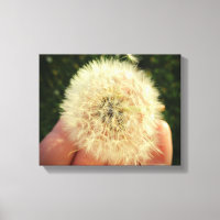 Impresión de canvas de cabeza de semilla de Dandel