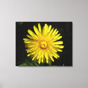 Impresión de canvas de Dandelion