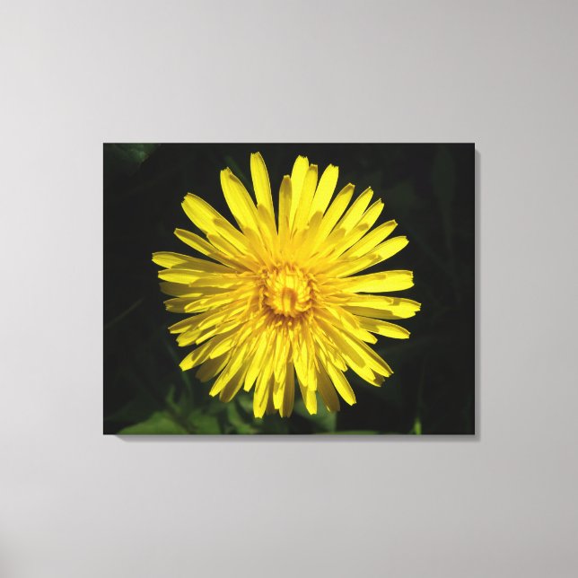Impresión de canvas de Dandelion (Anverso)