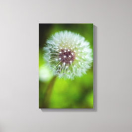 Impresión de canvas de Dandelion