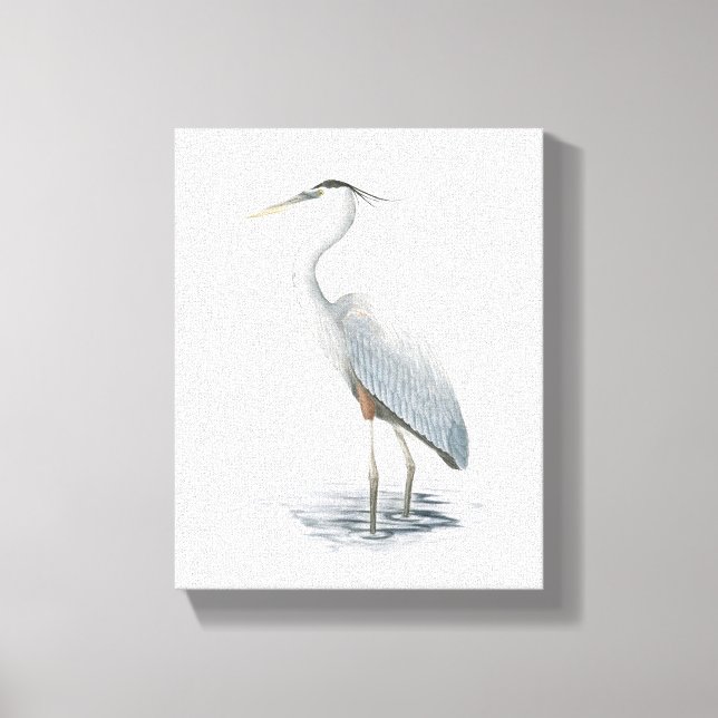 Impresión de canvas de garza azul (Anverso)