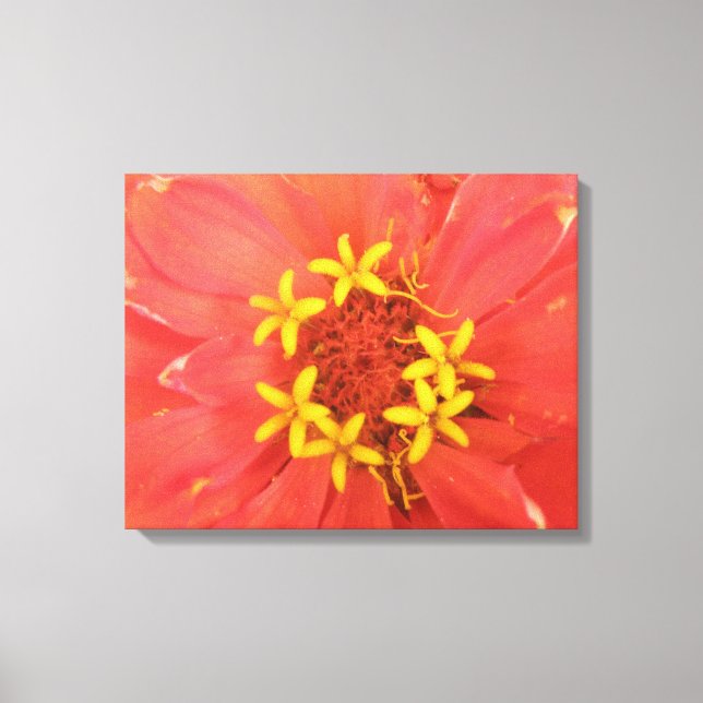 Impresión de canvas de macros de zinnia roja (Anverso)
