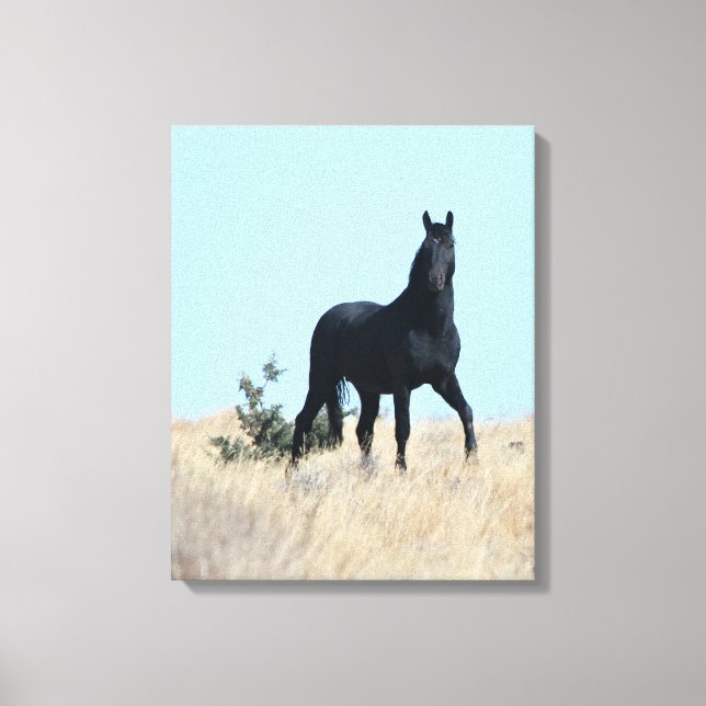 Impresión de canvas de Stallion Voodoo (Anverso)