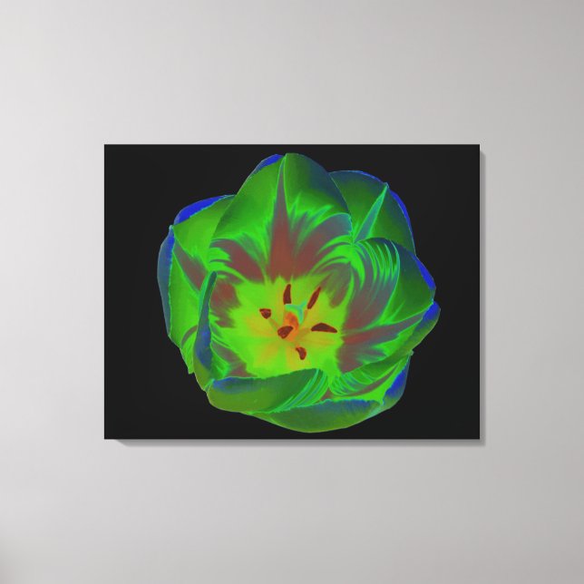 Impresión de canvas de tulipán verde místico (Anverso)