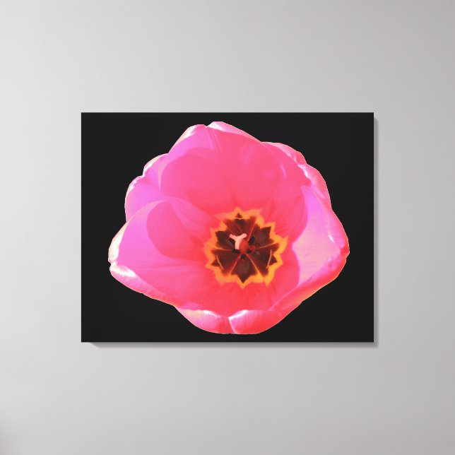 Impresión de canvas de tulipanes rosados (Anverso)