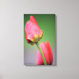 Impresión de canvas de tulipanes rosados