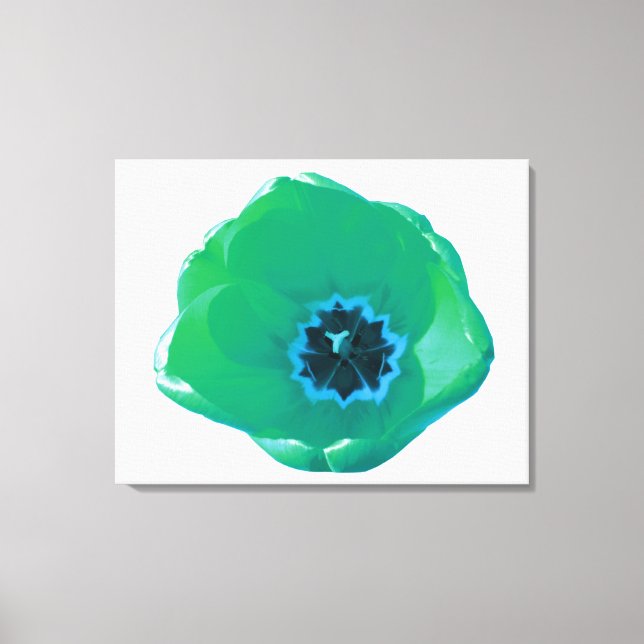 Impresión de canvas de tulipanes verdes y azules (Anverso)