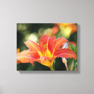 Impresión de canvas diurnas de verano
