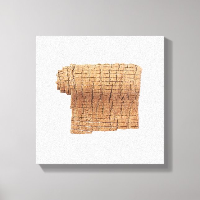 Impresión de canvas Du Zhong (Anverso)