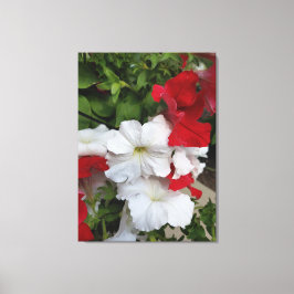 Impresión De Canvas En Blanco Y Rojo De Petunias
