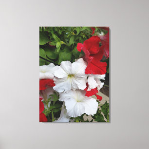 Impresión De Canvas En Blanco Y Rojo De Petunias