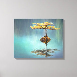 IMPRESIÓN DE CANVAS EN CALLE : ÁRBOL EN UNA ISLA