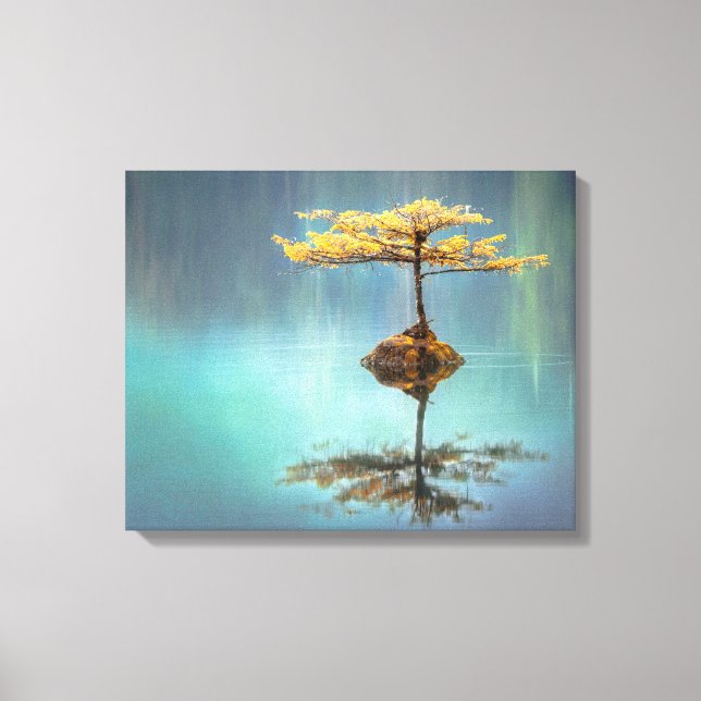 IMPRESIÓN DE CANVAS EN CALLE : ÁRBOL EN UNA ISLA (Anverso)