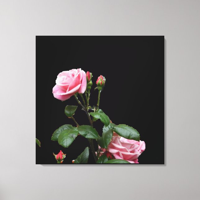 IMPRESIÓN DE CANVAS ROSA DE INGLÉS ROSA (Anverso)