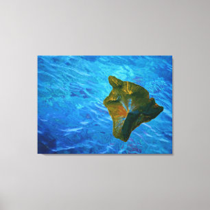 Impresión de canvas tridimensionales para islas gr