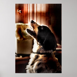 Impresión de capturas