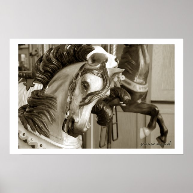 Impresión de carrusel 40 Posters (Frente)