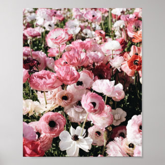 Impresión de cartel de flores rosas y blancas