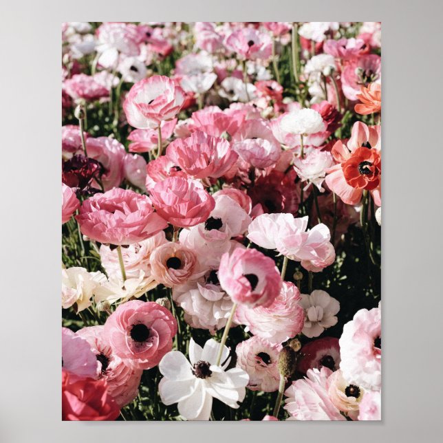 Impresión de cartel de flores rosas y blancas (Frente)
