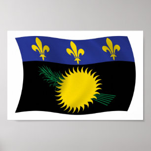 Impresión de cartel de la bandera de Guadalupe