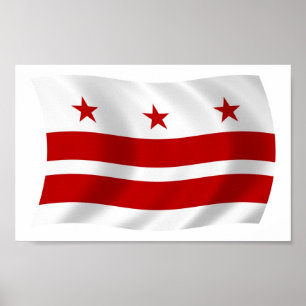 Impresión de cartel de la bandera de Washington D.