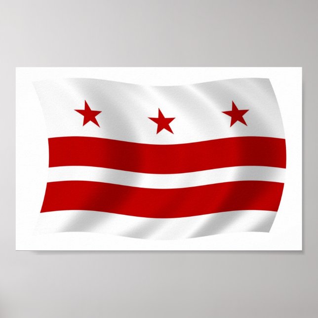 Impresión de cartel de la bandera de Washington D. (Frente)