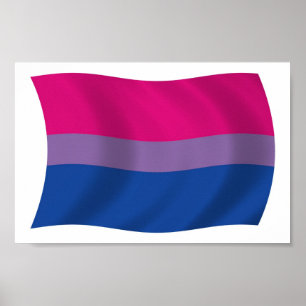 Impresión de cartel de la bandera del orgullo bise