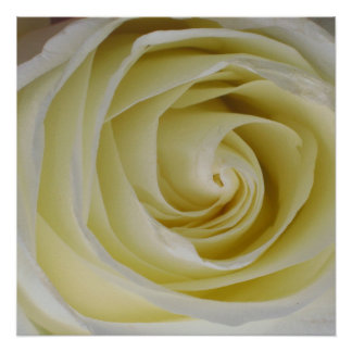 Impresión de cartel de rosa amarilla