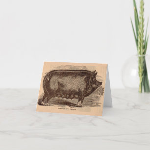 Impresión de cerdo del siglo XIX Berkshire sow n.º
