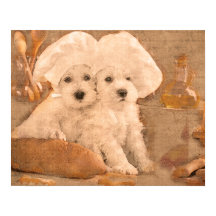 Impresión de cocina de chefs Schnauzer