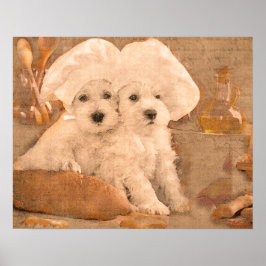 Impresión de cocina de chefs Schnauzer