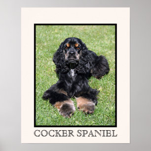 Impresión de Cocker Spaniel
