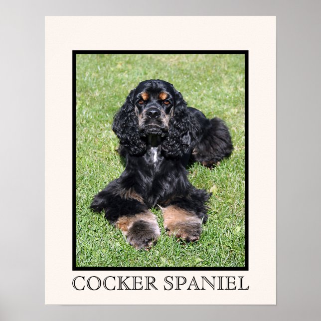 Impresión de Cocker Spaniel (Frente)