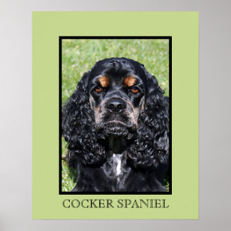 Impresión de Cocker Spaniel