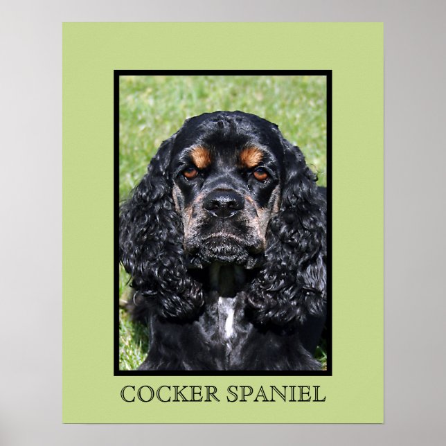 Impresión de Cocker Spaniel (Frente)