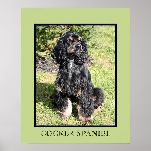 Impresión de Cocker Spaniel (Frente)
