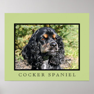 Impresión de Cocker Spaniel