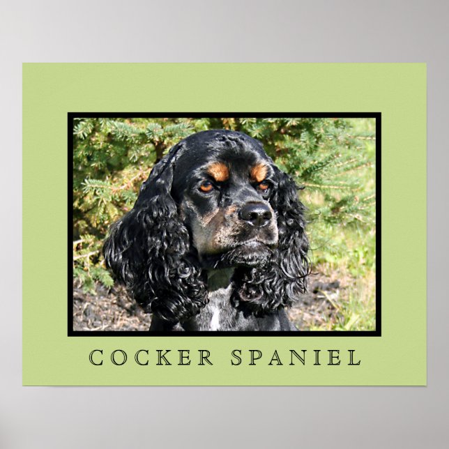 Impresión de Cocker Spaniel (Frente)
