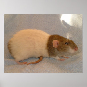 Impresión de cola de raciones