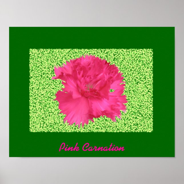 Impresión de color rosa (Frente)