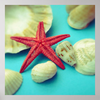 impresión de conchas marinas