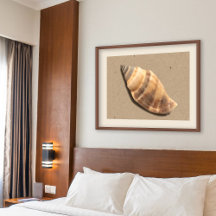 Impresión de conchas marrón y tan a rayas