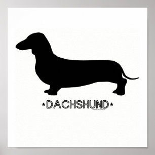 Impresión de Dachshund