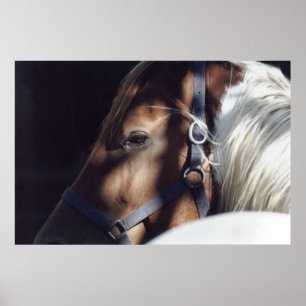 Impresión de Dallas