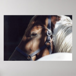 Impresión de Dallas