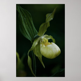 Impresión de deslizador amarillo