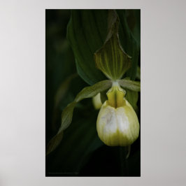 Impresión de deslizador amarillo 2