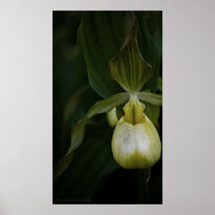 Impresión de deslizador amarillo 2